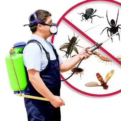 pest control Darby